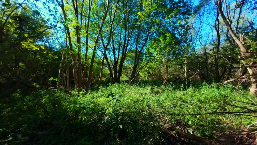 Still 2025-11-17 100017_1.60.11.jpeg